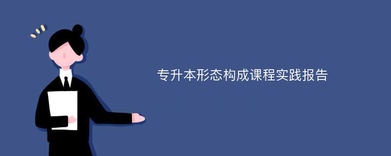 专升本形态构成课程实践报告