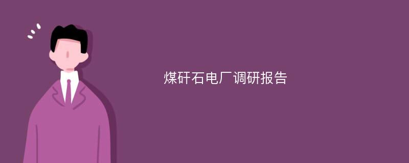 煤矸石电厂调研报告