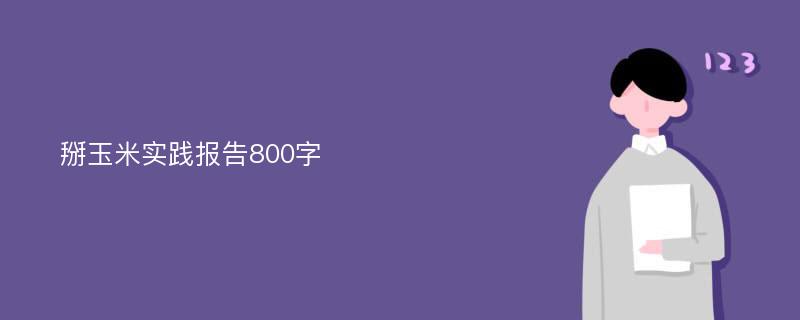 掰玉米实践报告800字