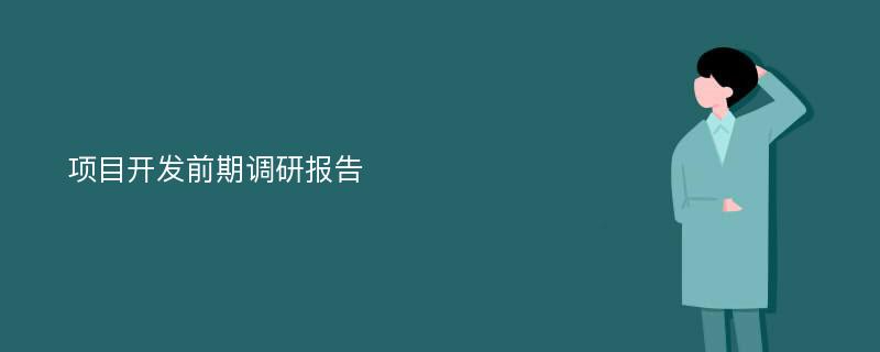 项目开发前期调研报告