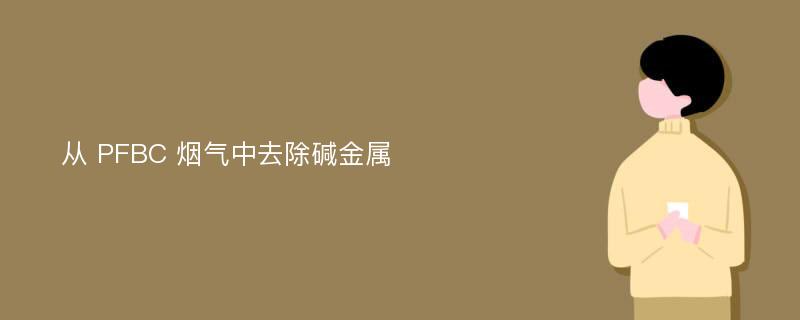 从 PFBC 烟气中去除碱金属