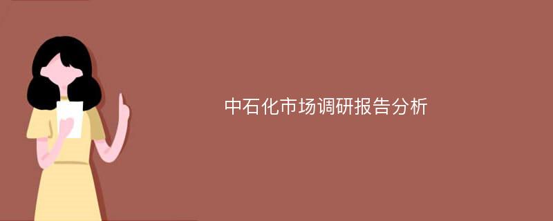 中石化市场调研报告分析