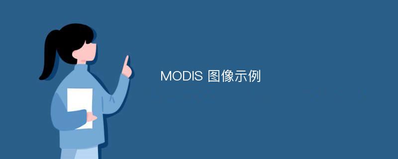 MODIS 图像示例