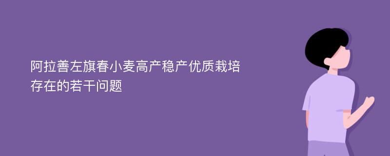 阿拉善左旗春小麦高产稳产优质栽培存在的若干问题