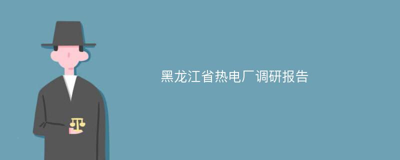 黑龙江省热电厂调研报告